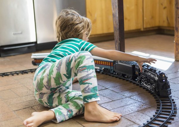 Découvrez le plaisir du train électrique : Un jouet intemporel