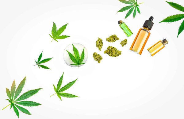 CBD et féminité : qu’apporte le CBD aux femmes ?
