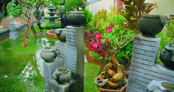 Quelles sont les dernières tendances en matière de vases et pots de fleurs ?